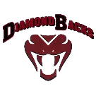Dutton/Brady High School logo