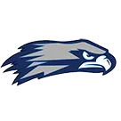 Skyview High School logo