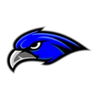 Fountain Hills High School logo