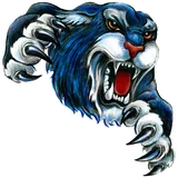 Douglas High School logo