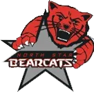 North Star High School logo