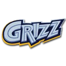 Skyline High School logo