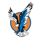 Vienna High School logo