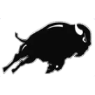 Fenton High School logo