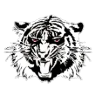 Moon Area High School logo