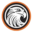 Tyrone Area High School logo
