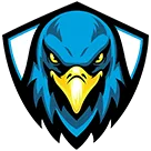 Rock Hill High School logo