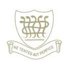 Dunn High School logo