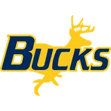 Buckhorn High School logo