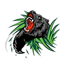Palmetto Ridge High School logo
