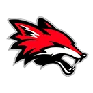Yorkville High School logo