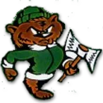 St. John High School logo