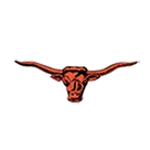 Newcastle High School logo