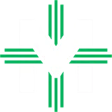 McNicholas High School logo