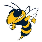 Ferndale Area High School logo