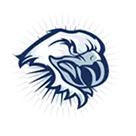 Tamaqua Area High School logo