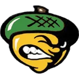 Live Oak High School logo