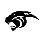 Palmer High School logo