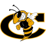 Cook High School logo
