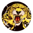 Coronado High School logo