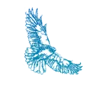 Mt. Madonna High School logo