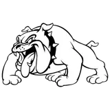 Clay County High School logo