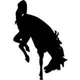 Jackson Hole High School logo
