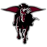 Northbrook High School logo