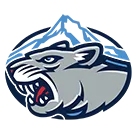 McDaniel High School logo