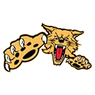 Chinle High School logo