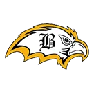 Brownsville Area High School logo