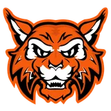 Verona Area High School logo