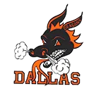 Dallas High School logo