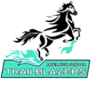 Dr Kiran C Patel High School logo