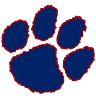 Analy High School logo