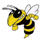 Hanover High School logo