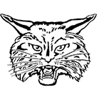 Brandywine High School logo