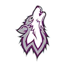 Wyoming High School logo