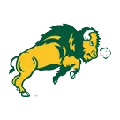 Carlisle High School logo