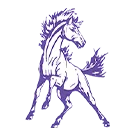 Spring Hill High School logo