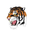 Rock Springs High School logo