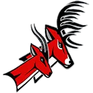 Yankton High School logo