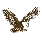 Ferndale High School logo