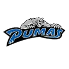 Peak To Peak High School logo