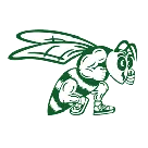 Scales Mound High School logo