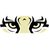 Fayette County High School logo