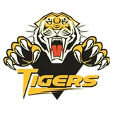 Spring Woods High School logo