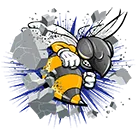 Rochelle High School logo