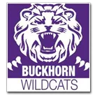 Buckhorn High School logo