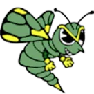 Brown County High School logo